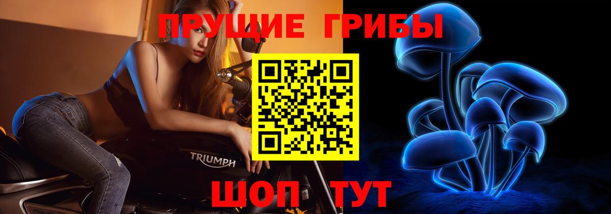 Галлюциногенные грибы Psilocybe Вичуга