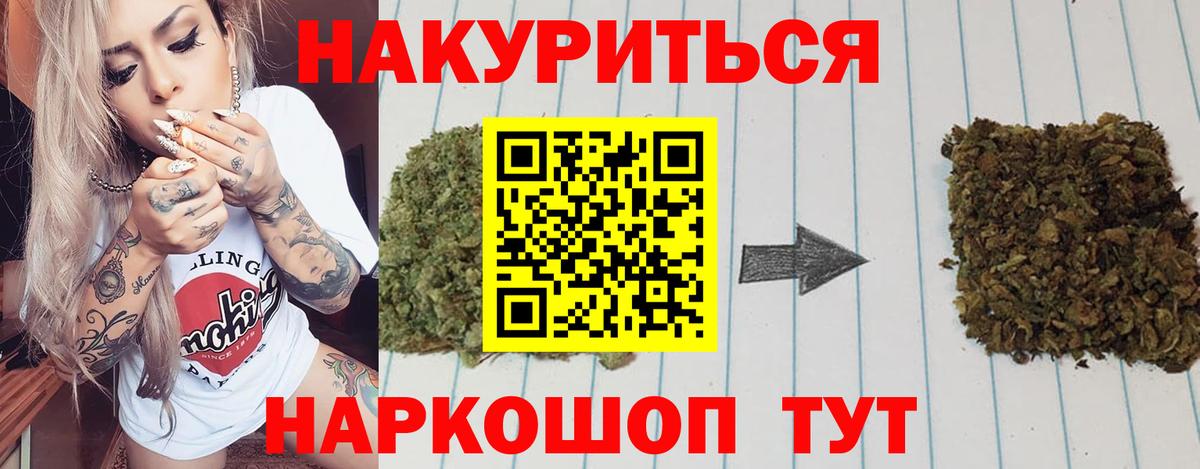 Вичуга  Канабис сатива  Каннабис гибрид  Вход с VPN  Марихуана семена 